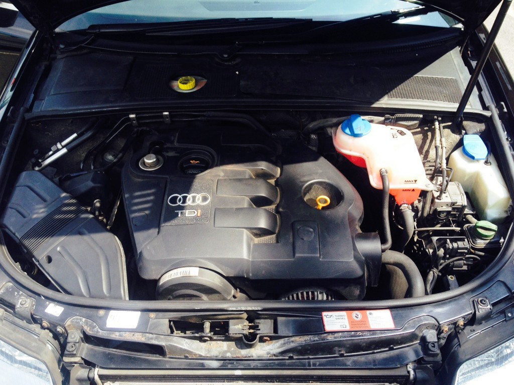 Audi  (2)