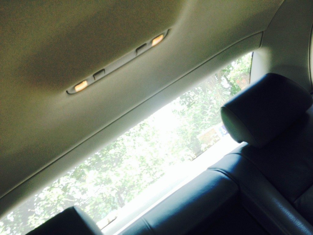 photo 1 (2)
