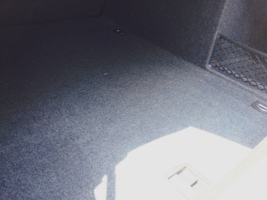 photo 2 (4)